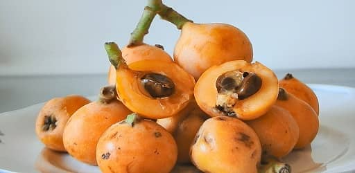 ازگیل ژاپنی