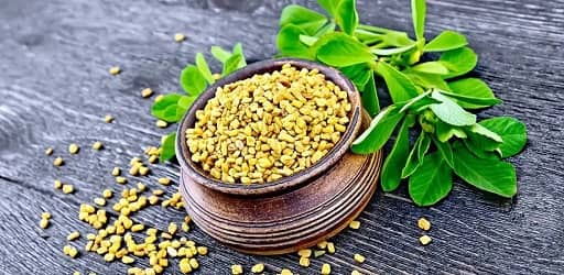 شنبلیله