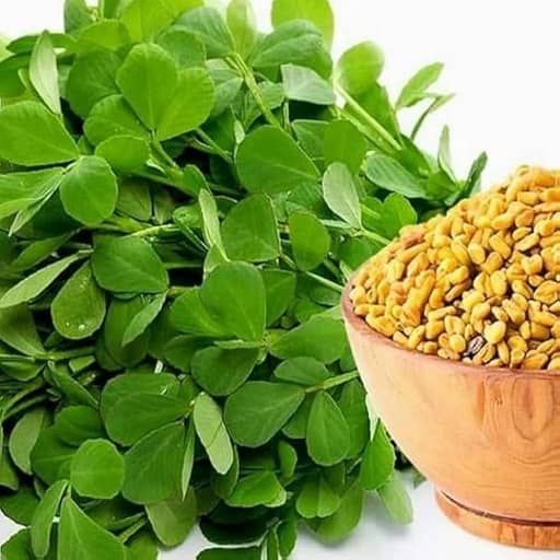خواص شنبلیله
